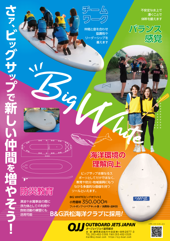 bigSAP